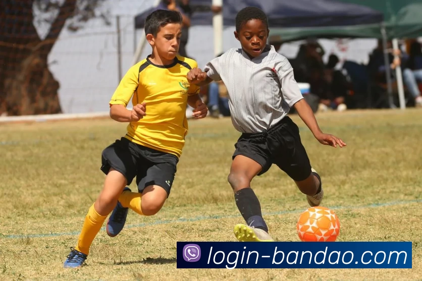 BANDAO SPORTSAPP 高清赛事图